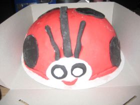 lieveheersbeestje totaal.jpg