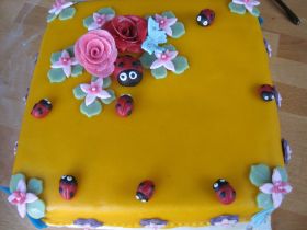 tuintaart boven aanzicht 2.jpg