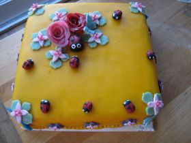 tuintaart boven aanzicht.jpg